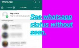 How to see whatsapp status without seen
